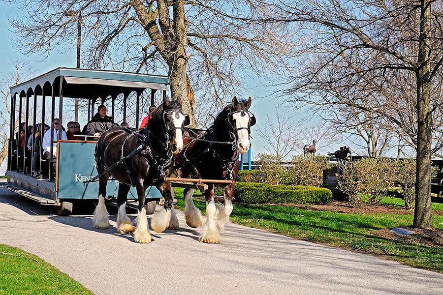 Kentucky Horse Park 1