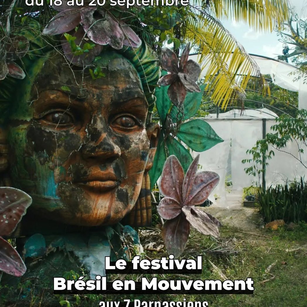 Brésil en Mouvements 1