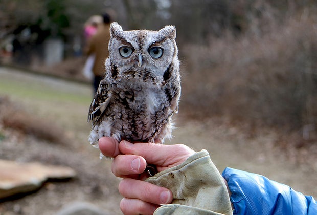 Nature Center at Greenburgh 1