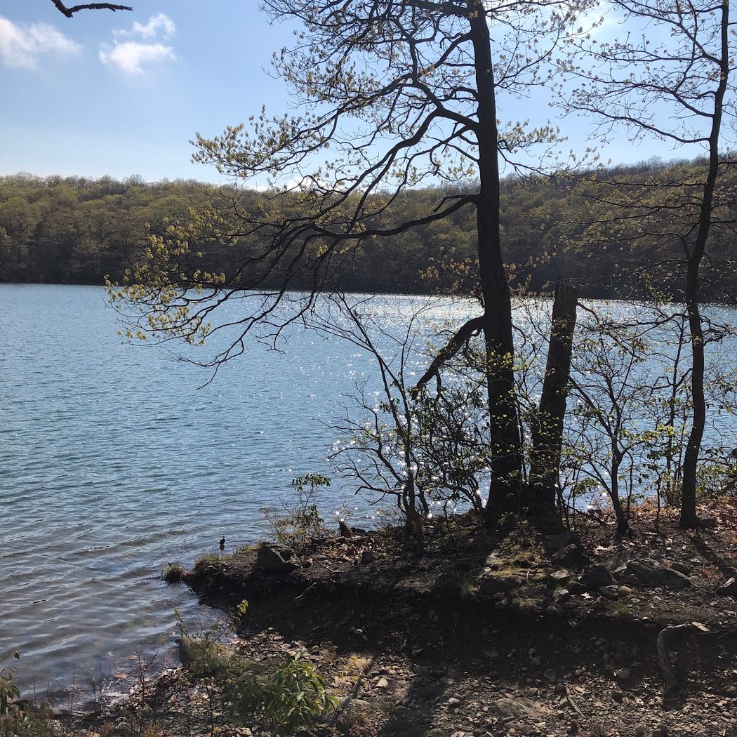 Fishkill Ridge Trail 3
