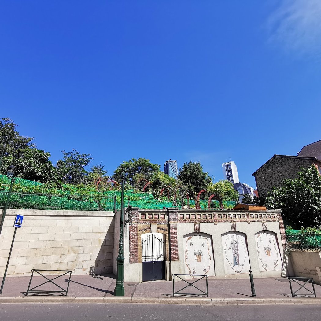 vignes Garden 3