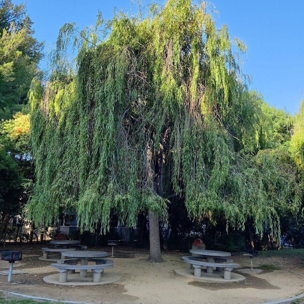 Lick Mill Park 3