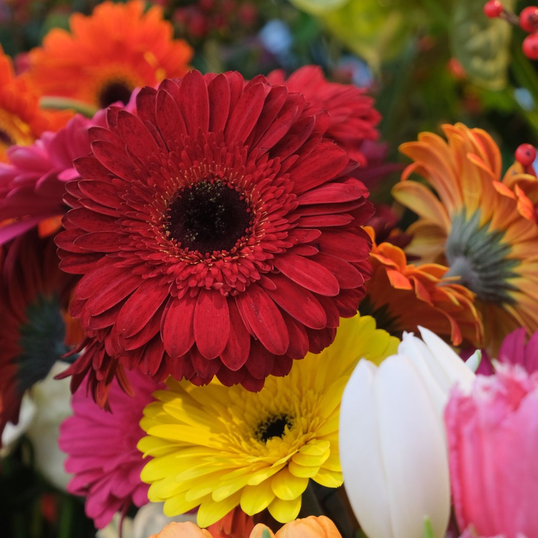 Blooms & Bubbles 3