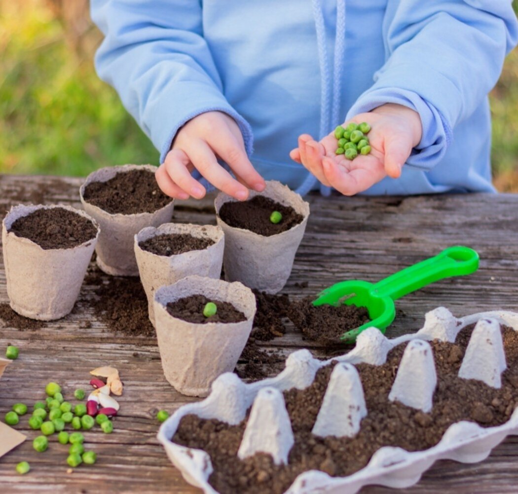 Earth Day Seed Planting 1