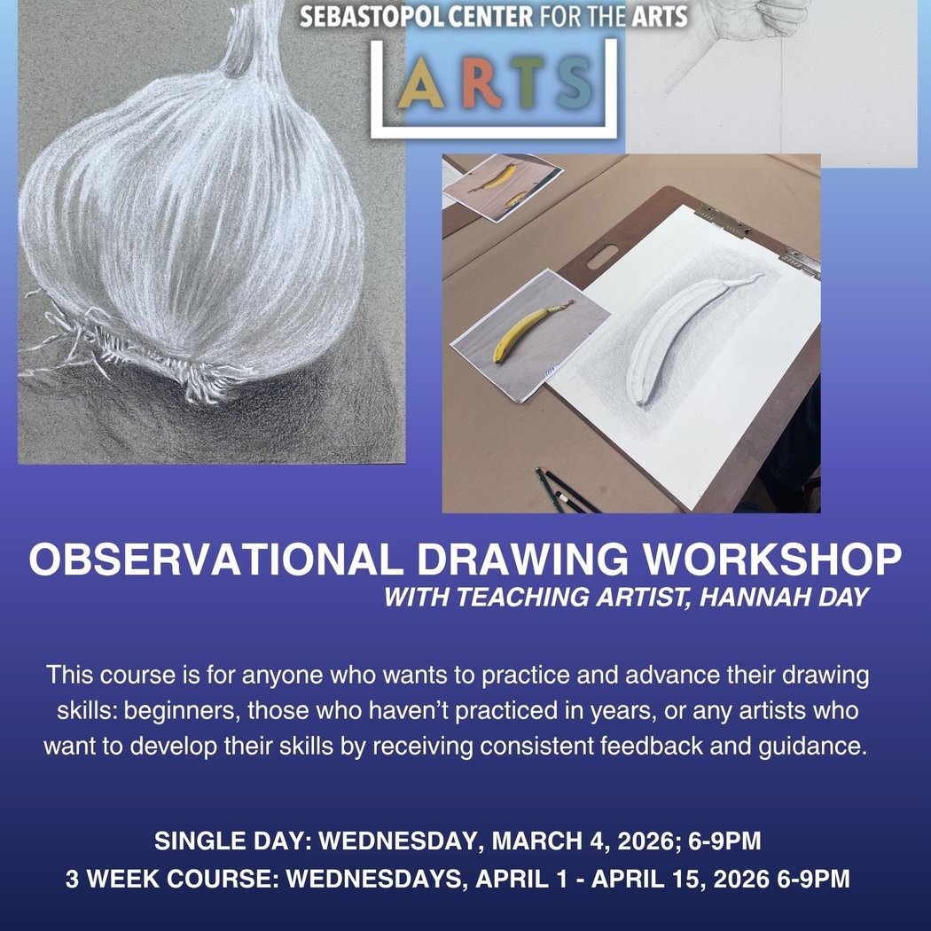 Intro to Observational Drawing 1