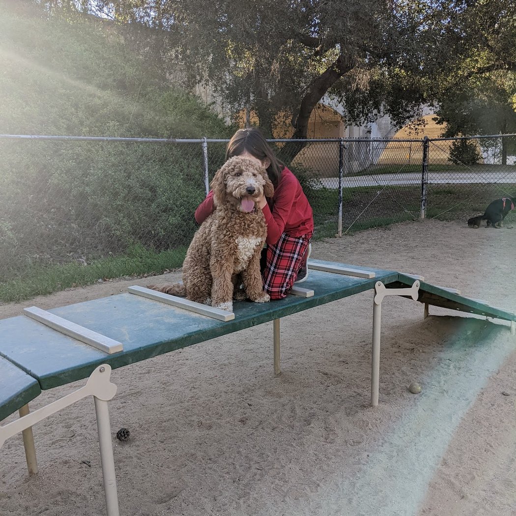 Hermon Dog Park 1