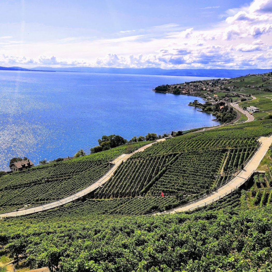 Domaine Butticaz Dézaley 1