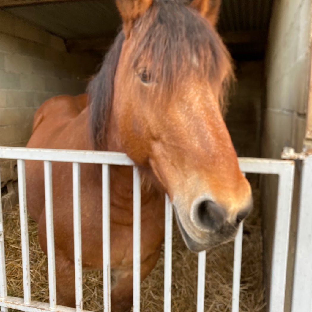 Ferme pédagogique de la béchère 1
