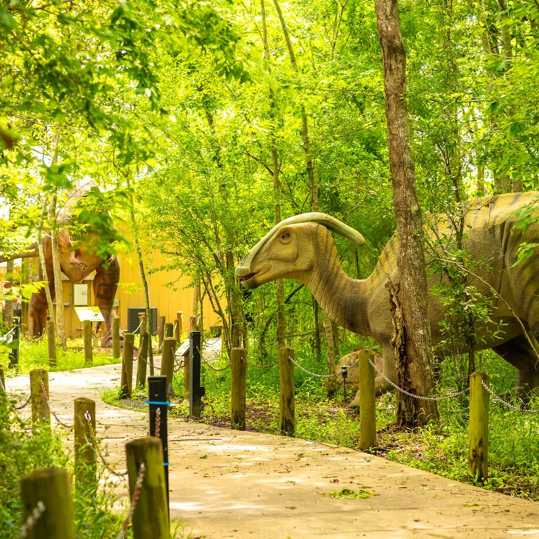 Dinosaur Exhibit 1