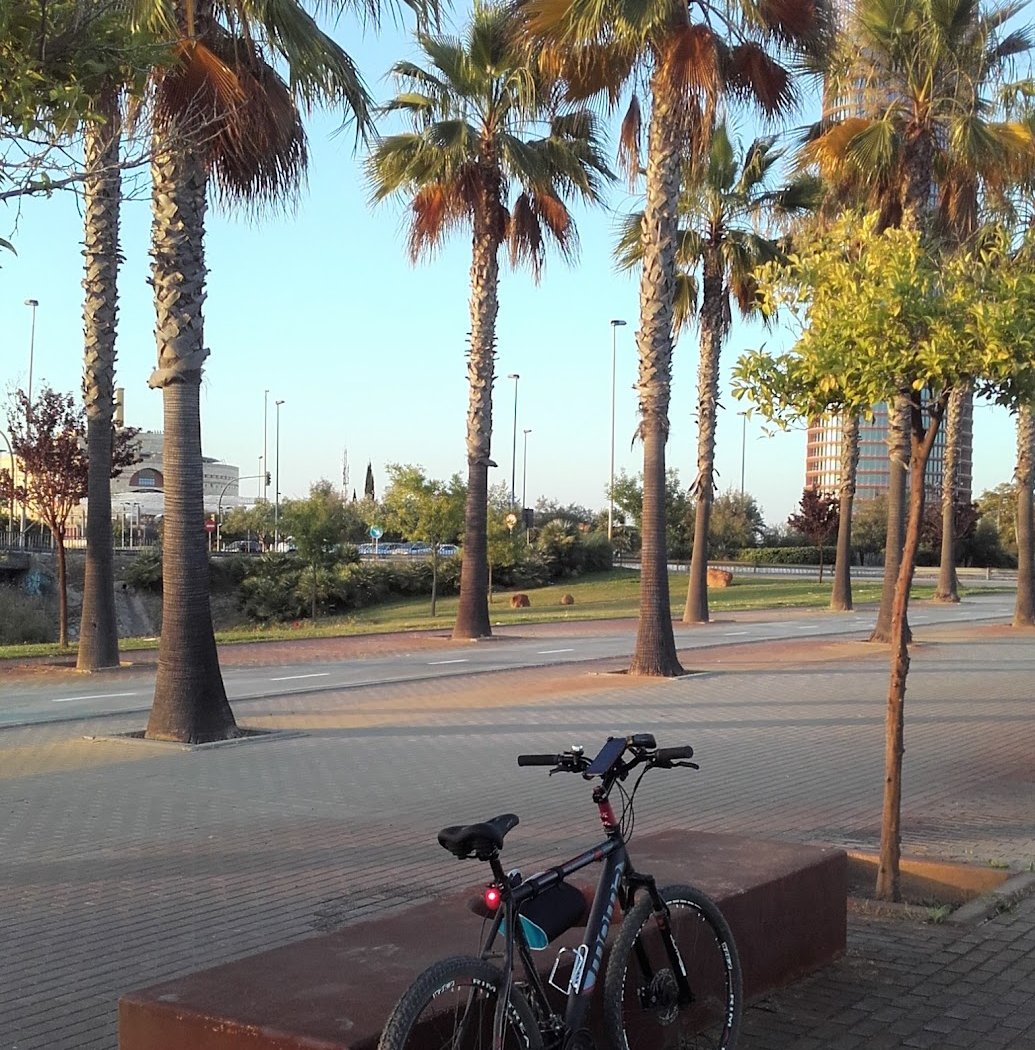 Vega de Triana 2