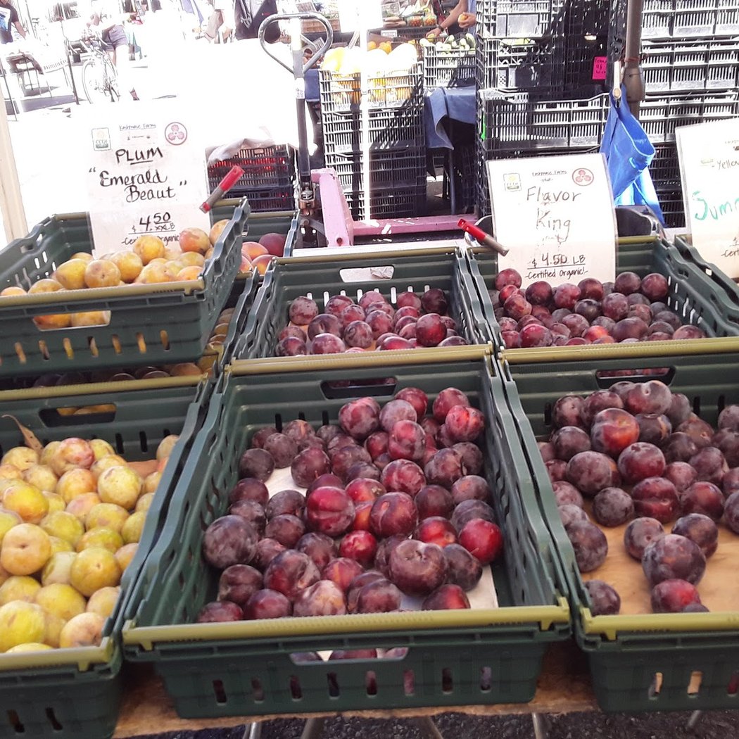 Farm Fresh Cooking to Prevent Food Waste Spring Series 2