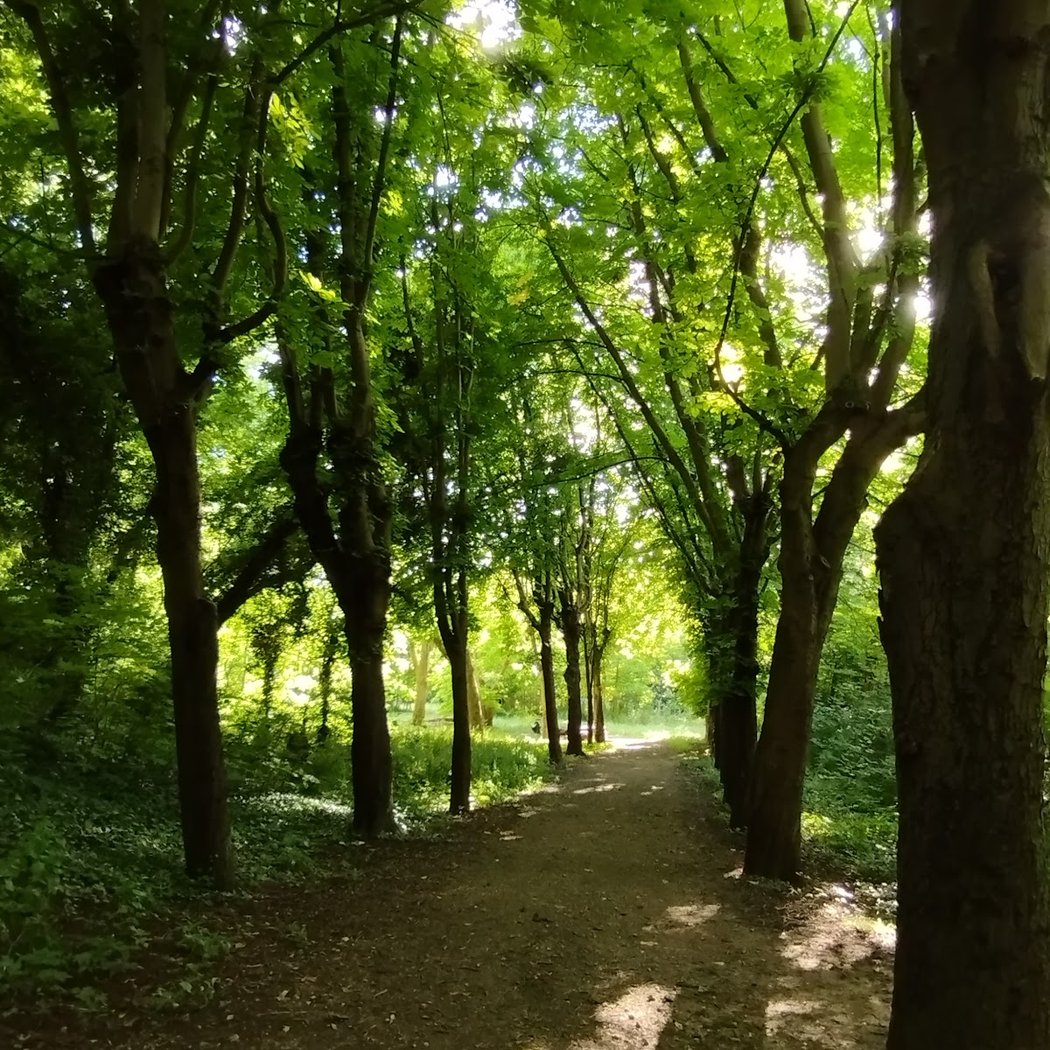 Parc de la République 1