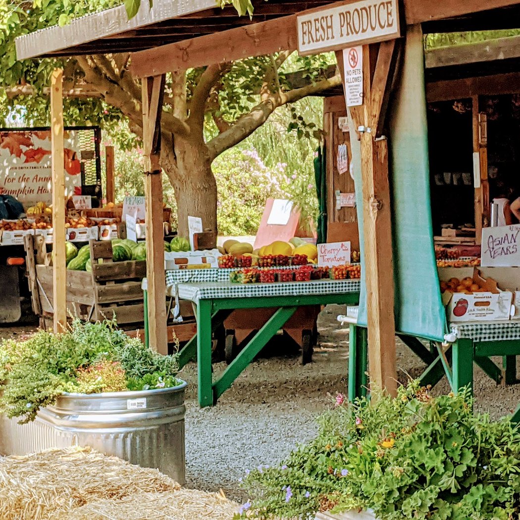 Smith Family Farm 2