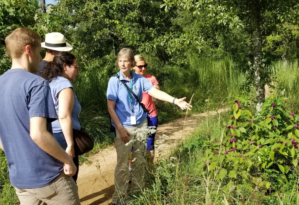 Guided Nature Hikes