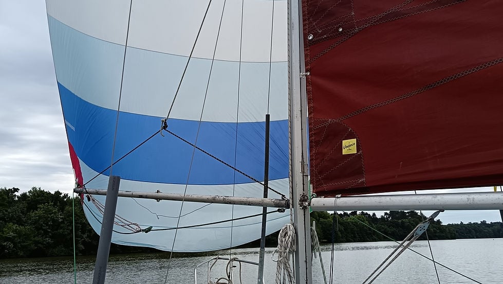 Les Samedis Solidaires de l'Erdre 1