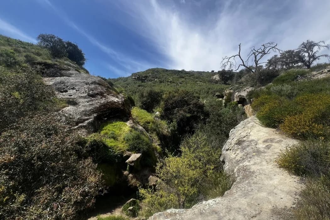 Guided Wellness Hike 3