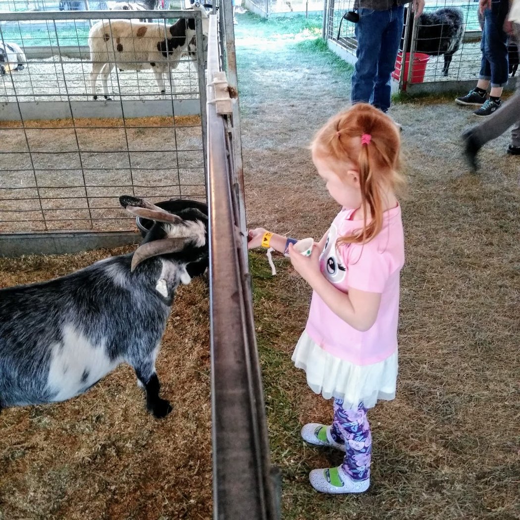 Central Washington State Fair 2026 3