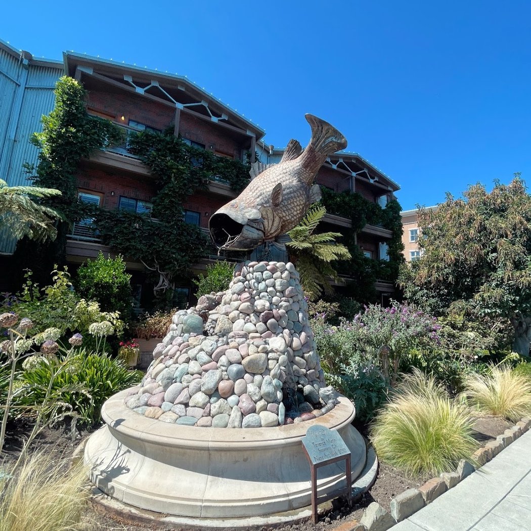 Napa River Walkway 2