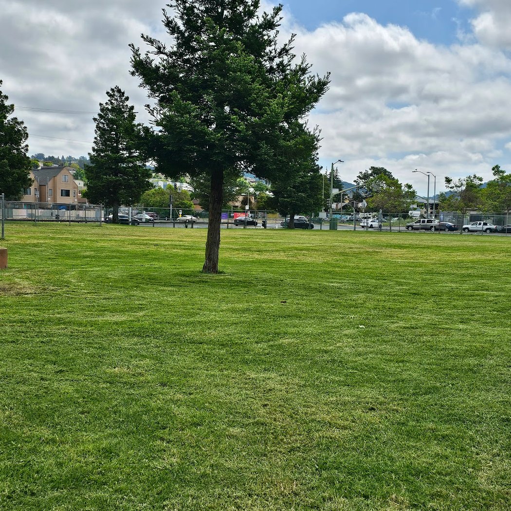 Verdese Carter Park 1