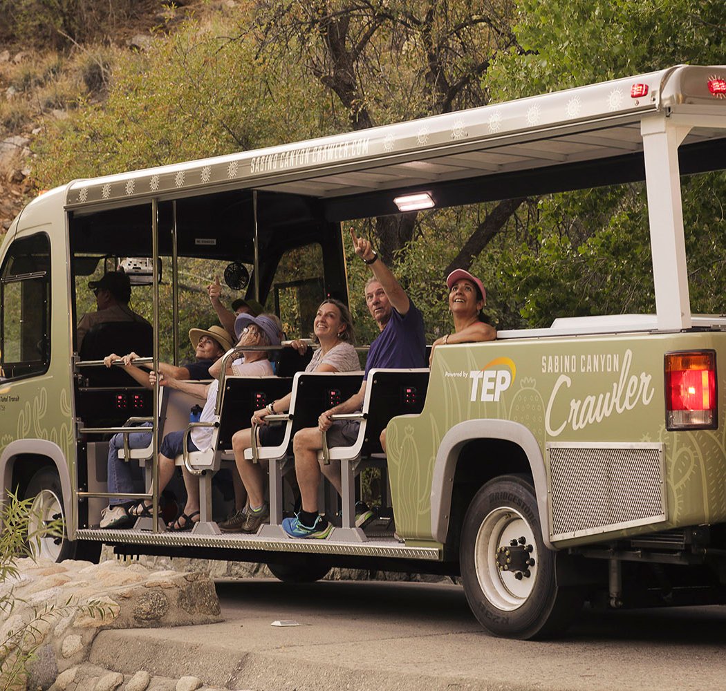 Sabino Canyon Night Tour 3