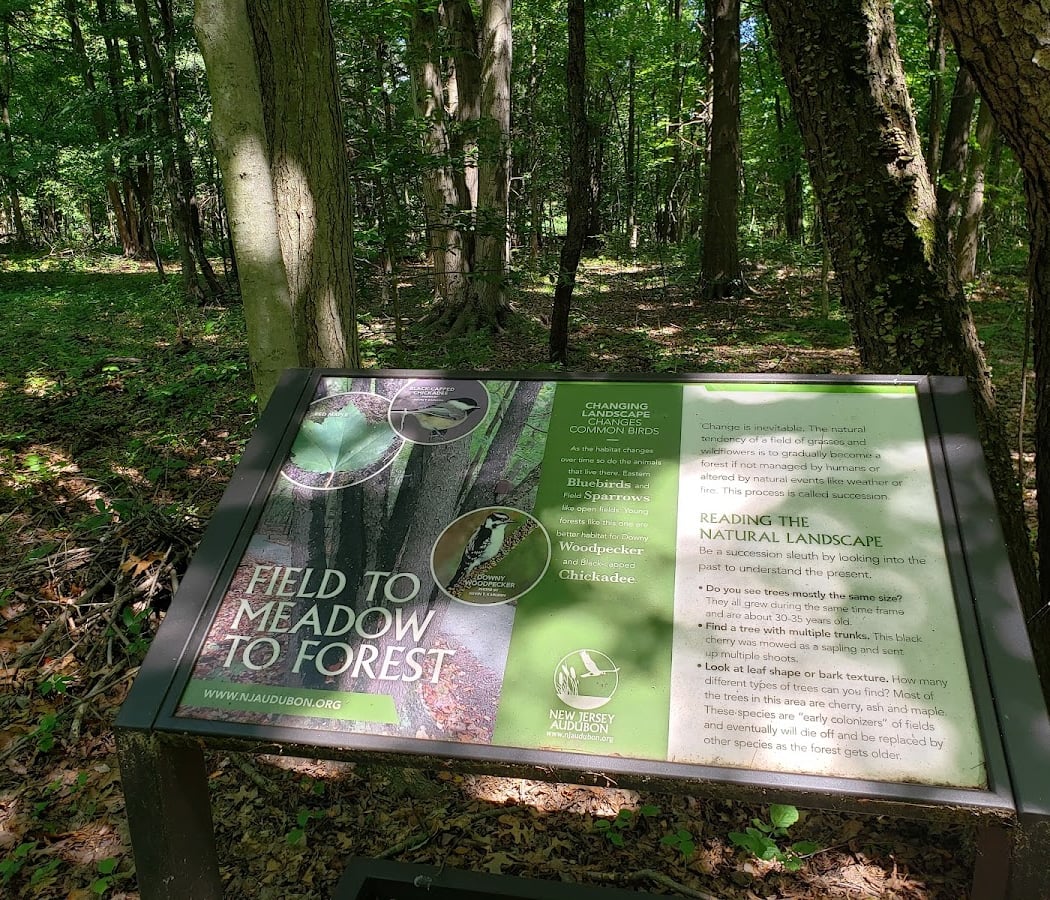 Father's Day Bird Walk 2