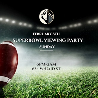 SUPERBOWL VIEWING PARTY 1