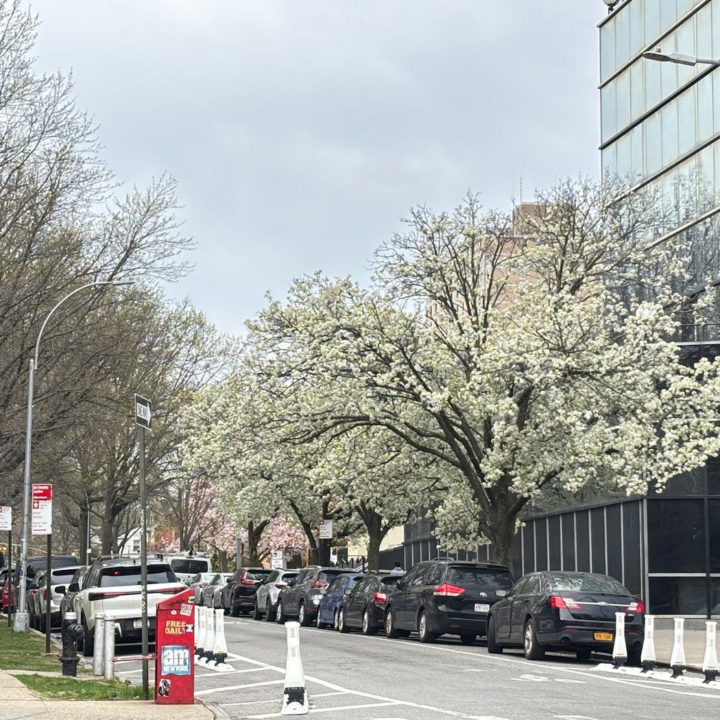 Newcombe Square 3