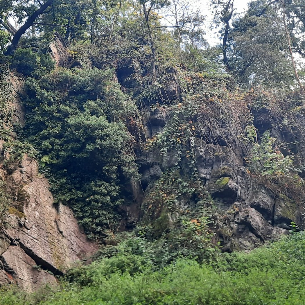 Massif forestier de l'Arc Boisé 3