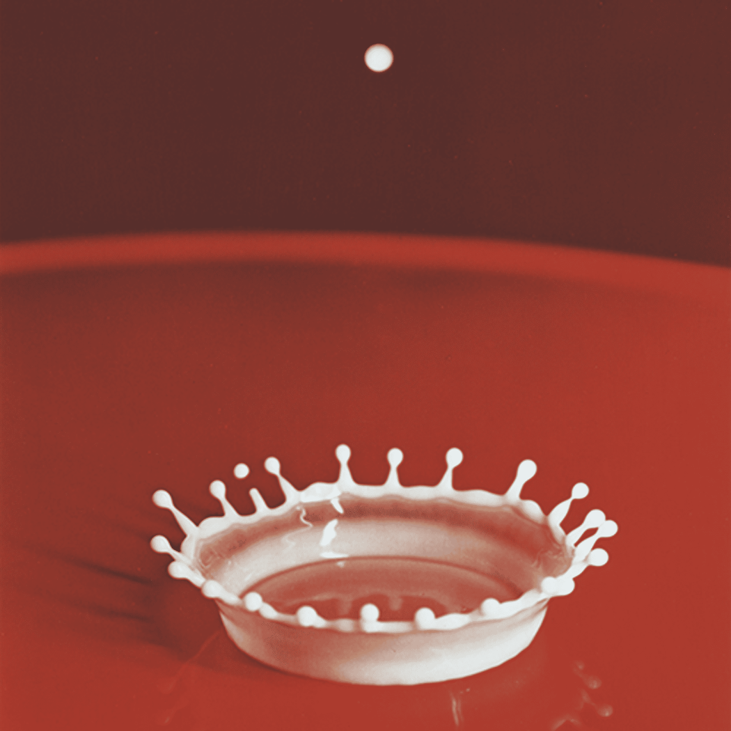 Ecstatic Time: The Alchemy of Photography
