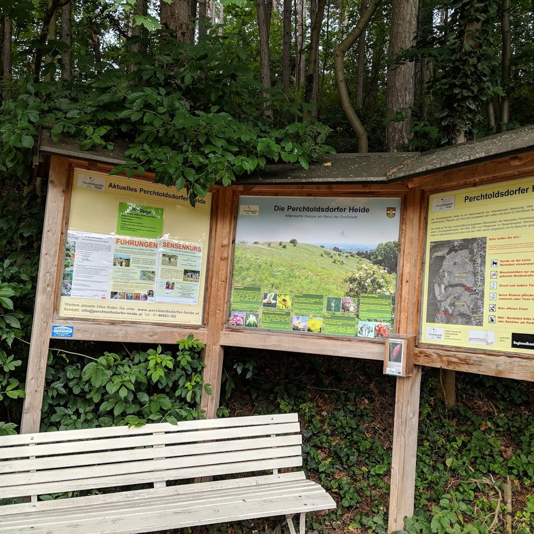 Heidepflegewoche 3
