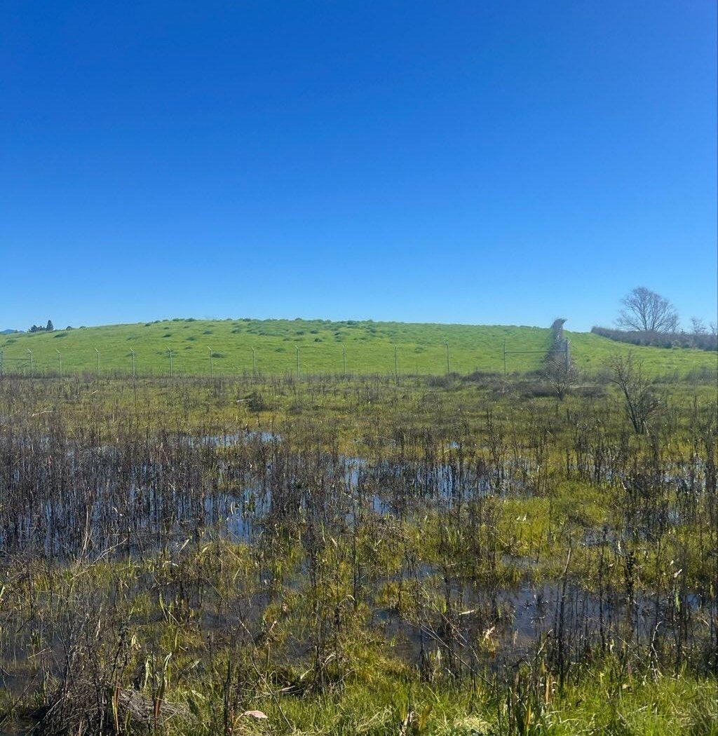 Laguna de Santa Rosa Trail 2