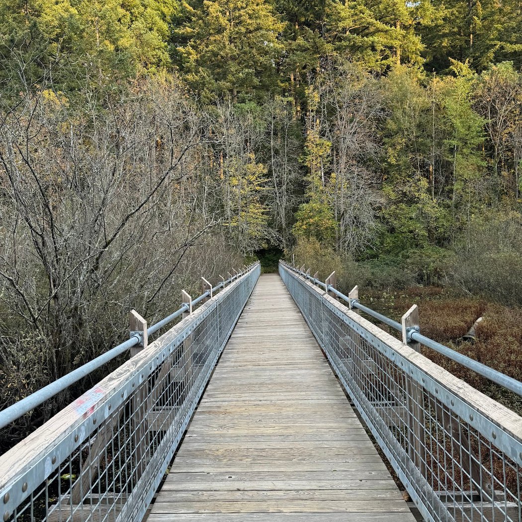 Tacoma Nature Center 3