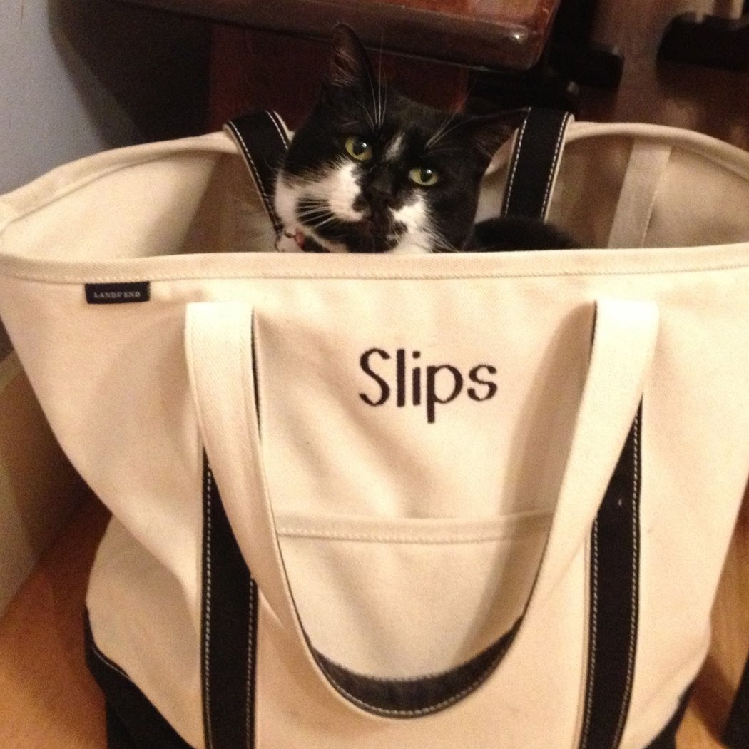 Slips 2