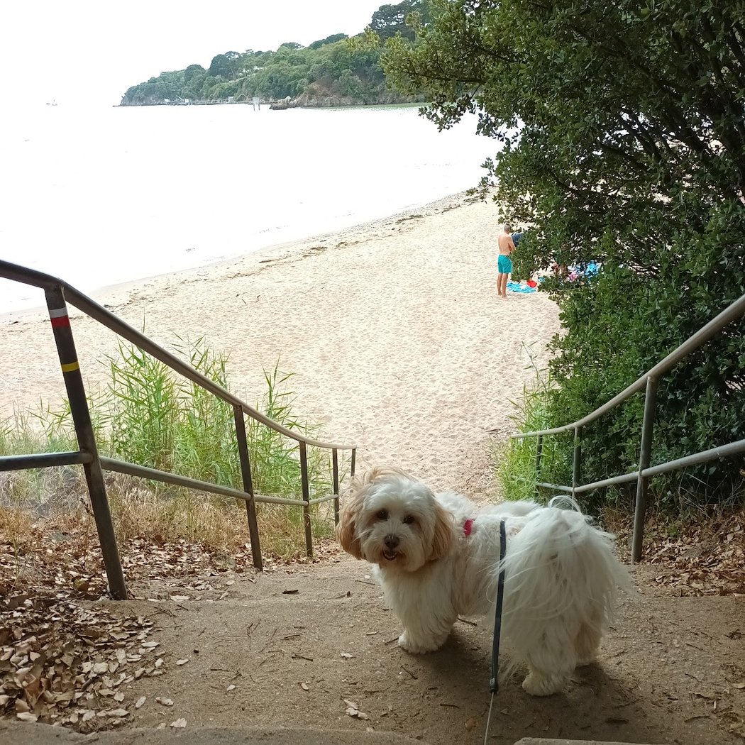 Plage de Trébézy 3