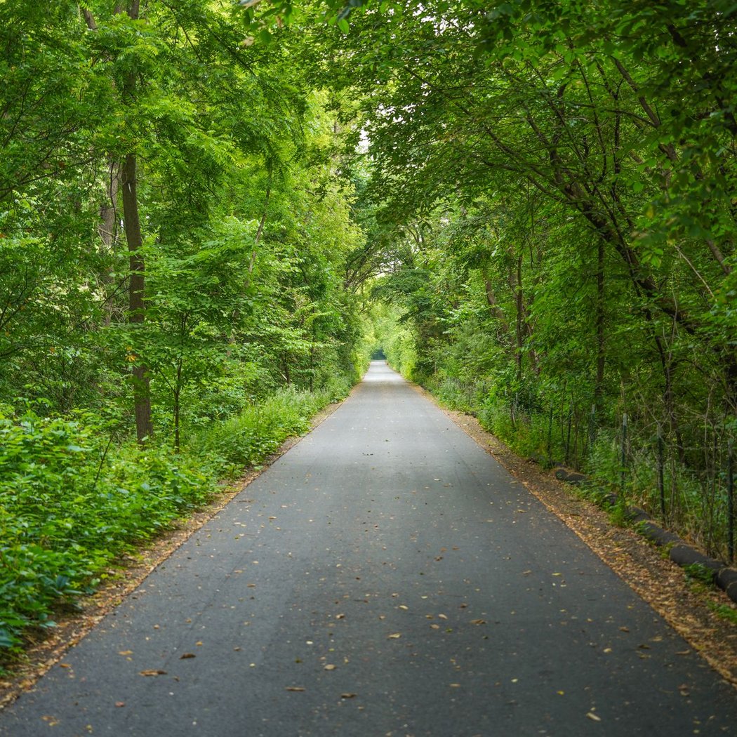 Beaver Island Trail 1