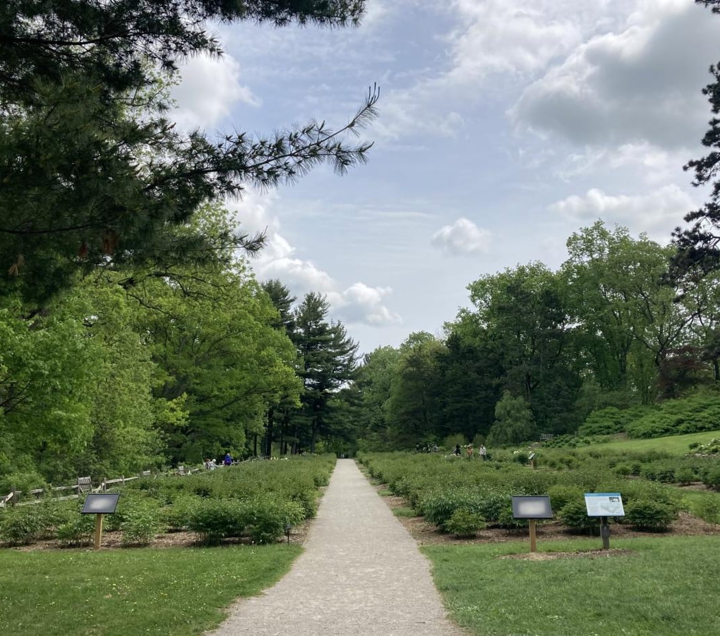 University of Michigan Nichols Arboretum 2