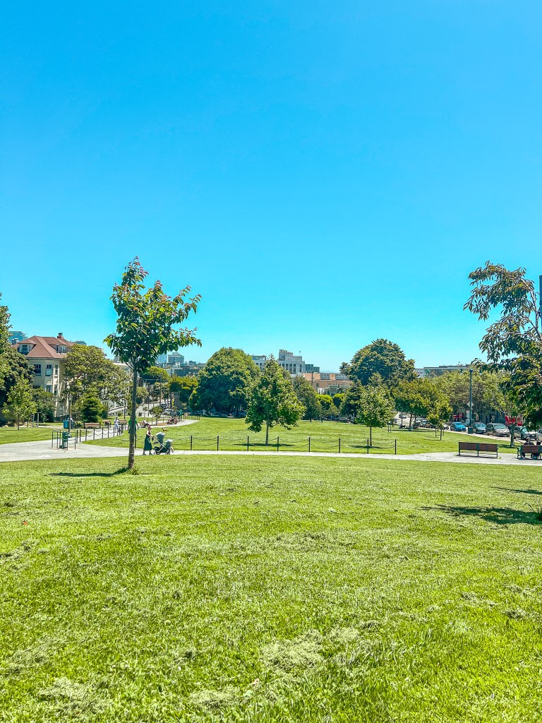 Duboce Park 2