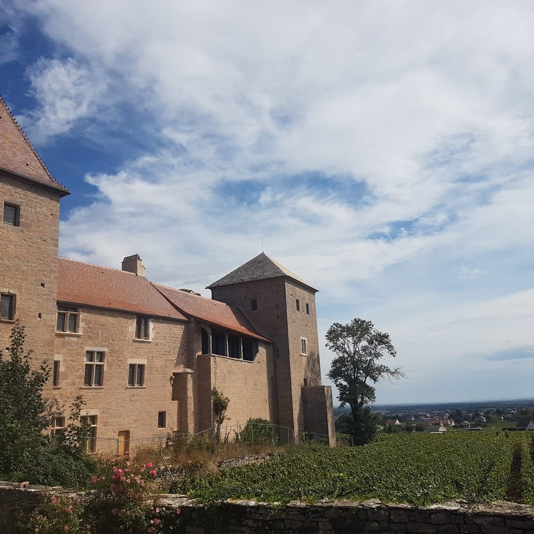 Route des Grands Crus 3
