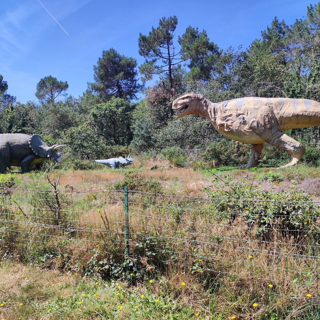 Parc De Préhistoire De Bretagne 3