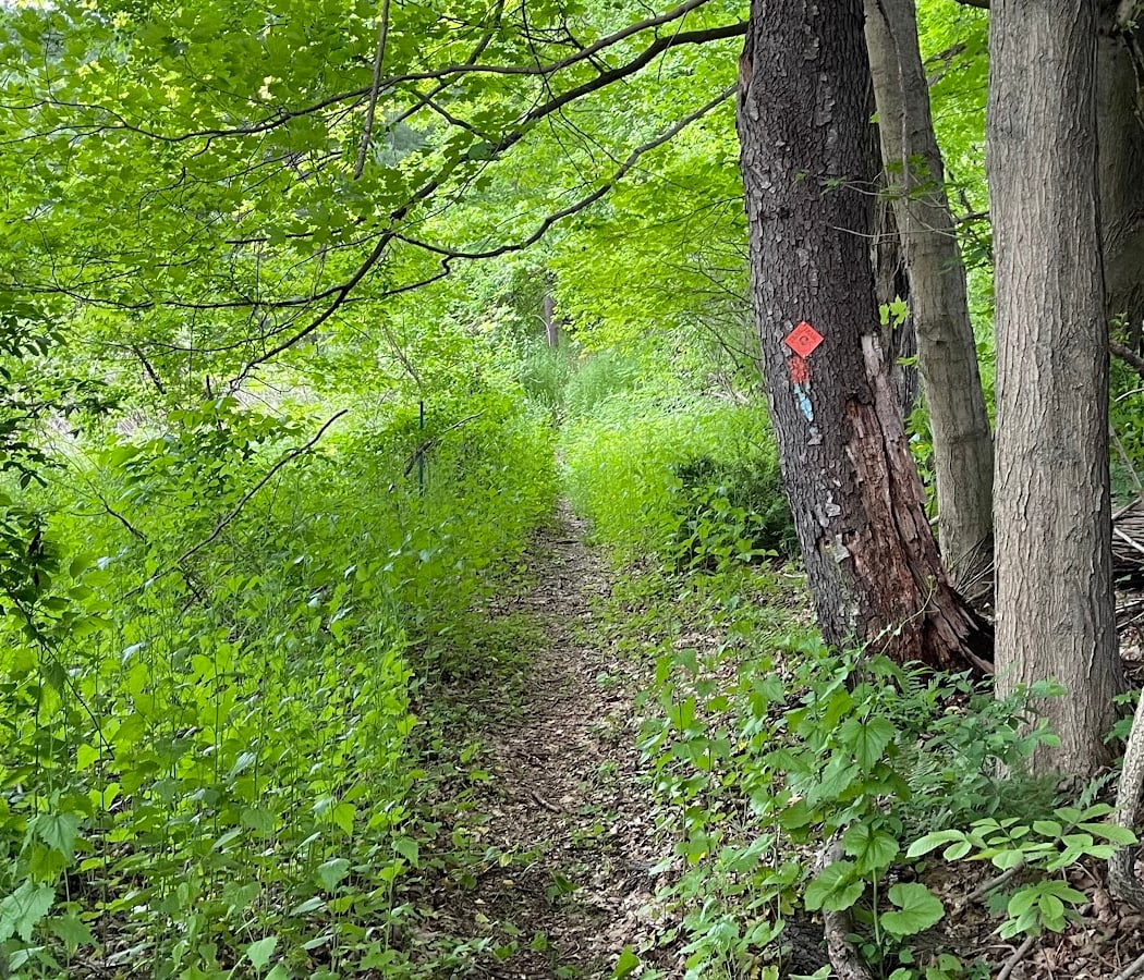 Pawling Natural Preserve Secondary Access Point 1