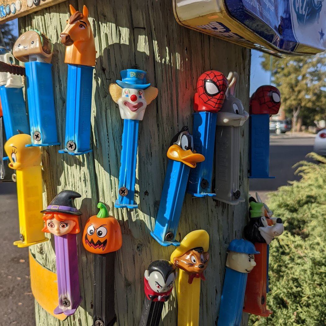Sunnyvale Pez Pole 1