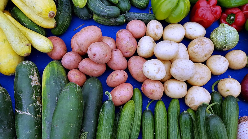 Marina Del Rey Farmers Market 3