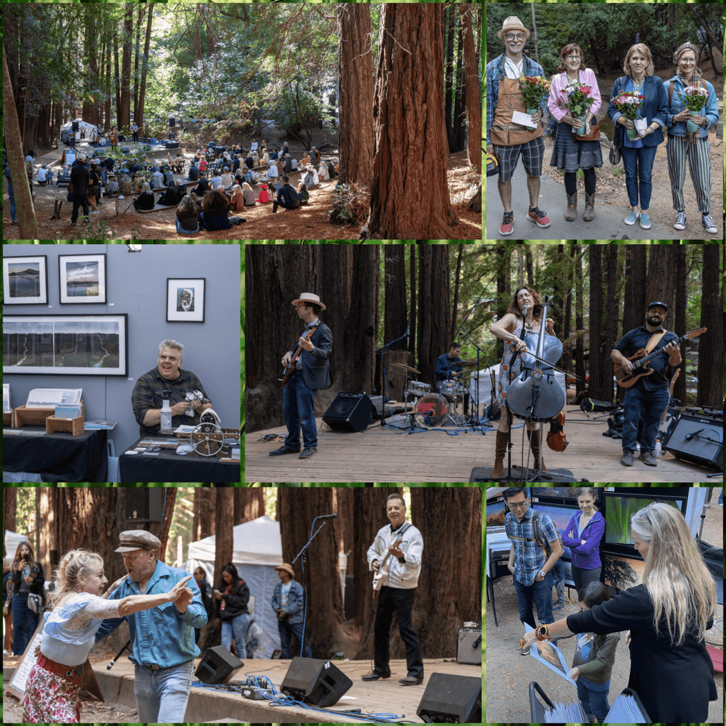 Mill Valley Fall Arts Festival 1
