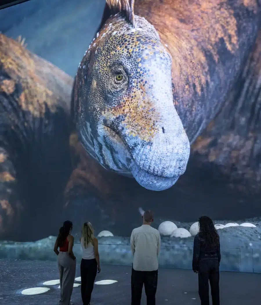 Immersive Experience 4