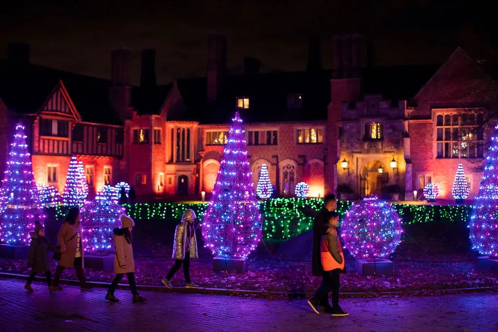 Winter Wonder Lights 1