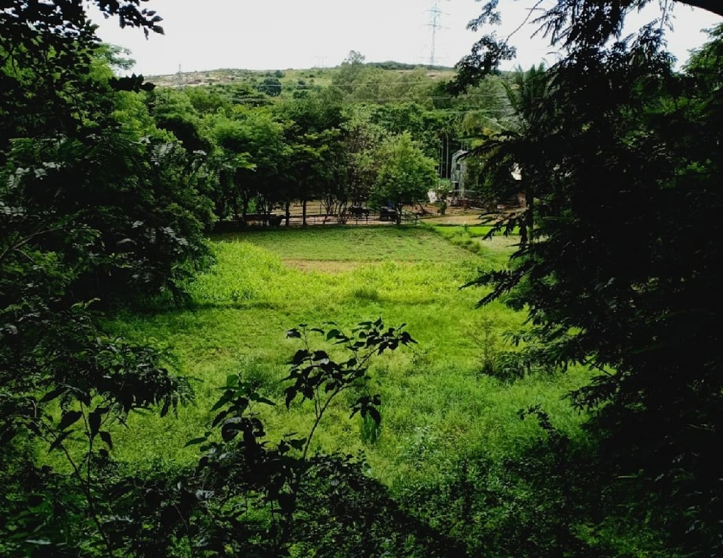 The Big Barn Nature Camp 3