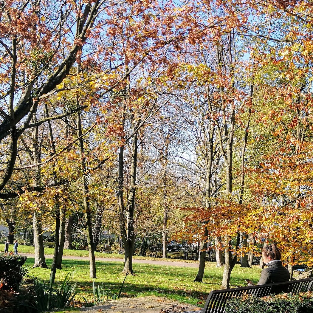 Parc Montaleau 1