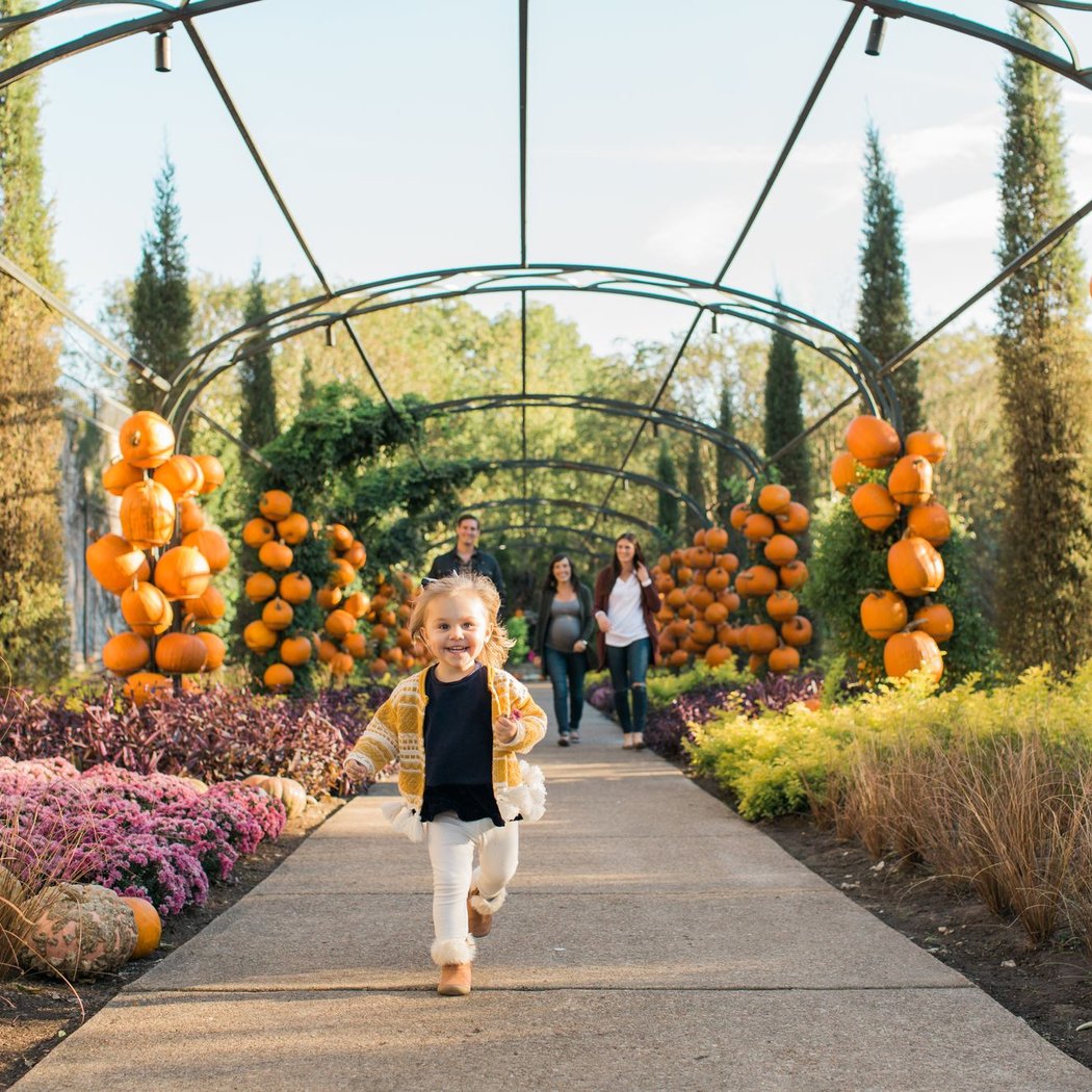 Cheekwood Harvest