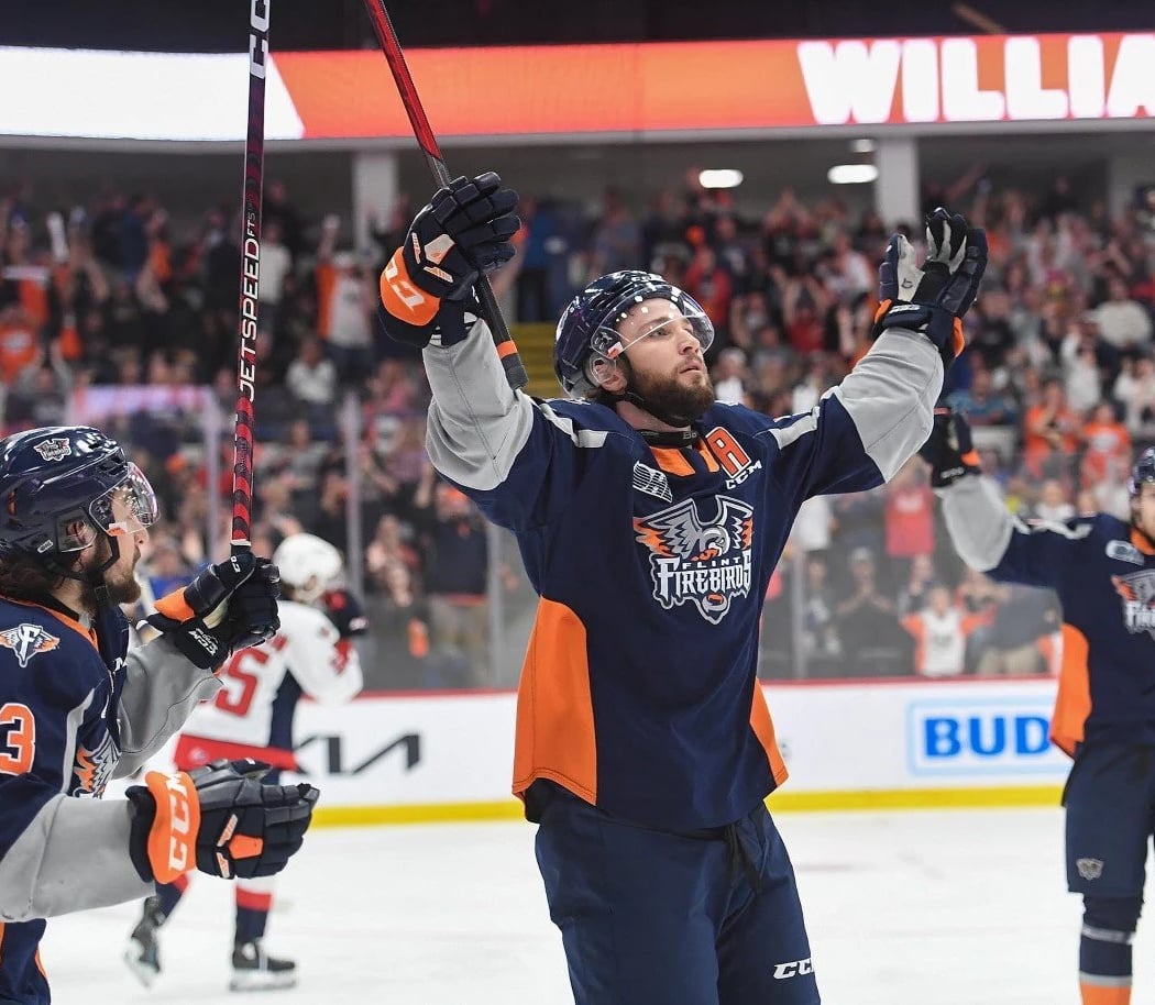 Flint Firebirds vs. Niagara IceDogs 1