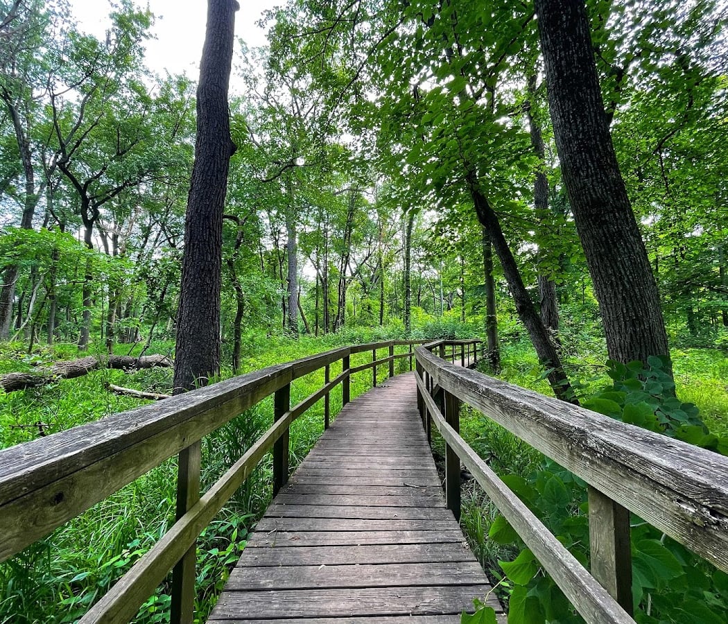 Edward L. Ryerson Conservation Area 3